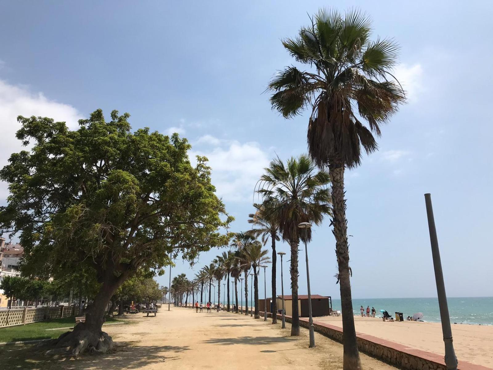 Apartamento Frente Al Mar กาเนด เด มาร์ ภายนอก รูปภาพ